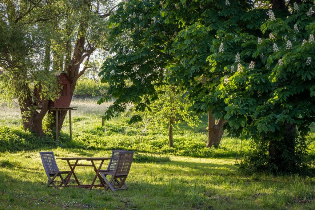 tuin inrichten met een klein budget tuin inrichten met een klein budget